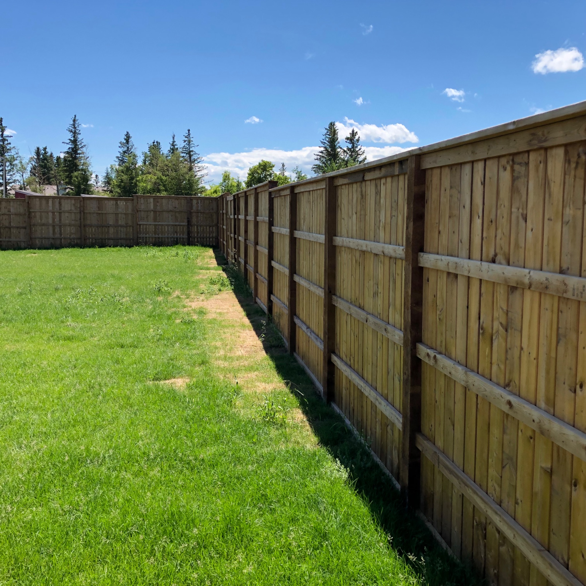 Fence line beside the house