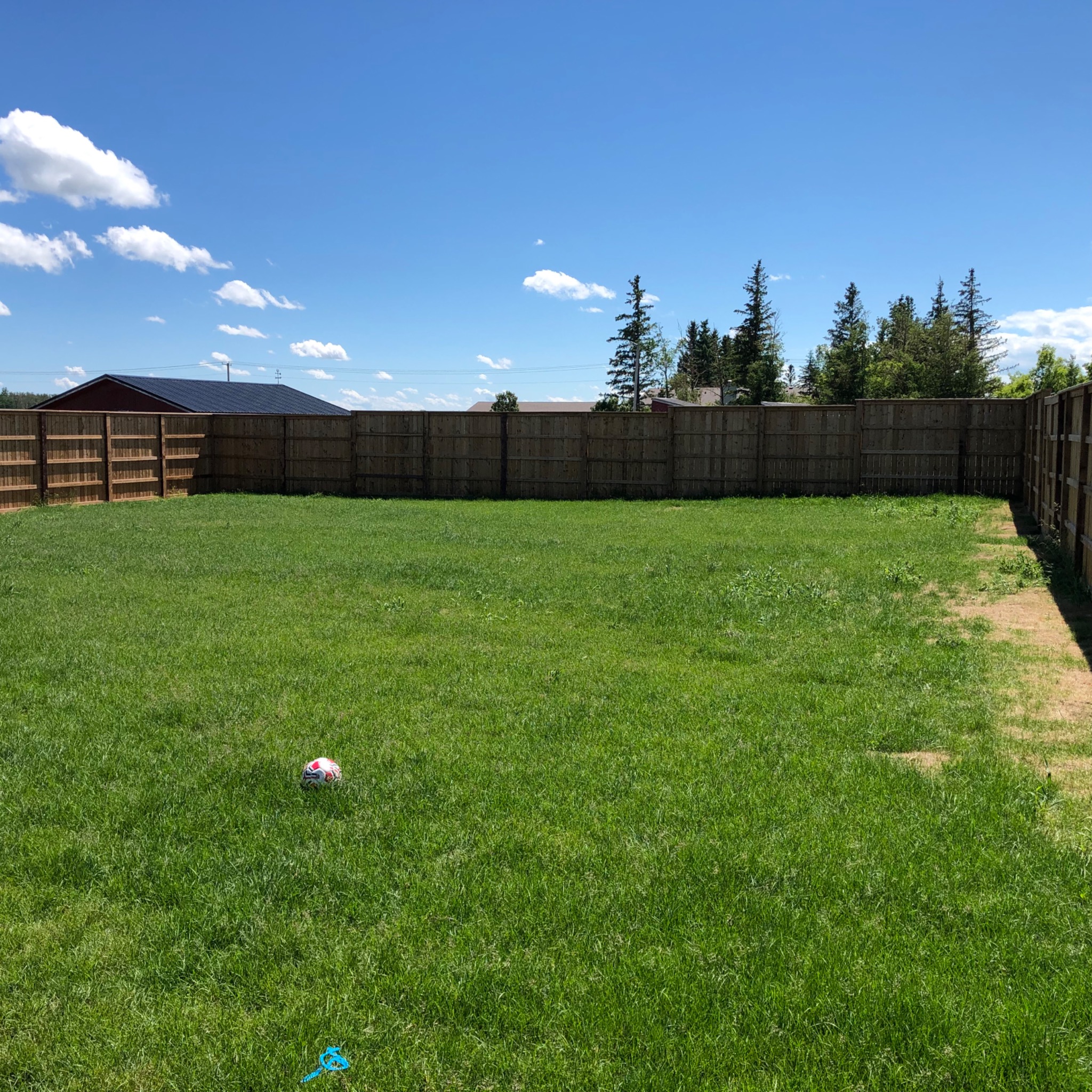 Backyard fence and patio angle