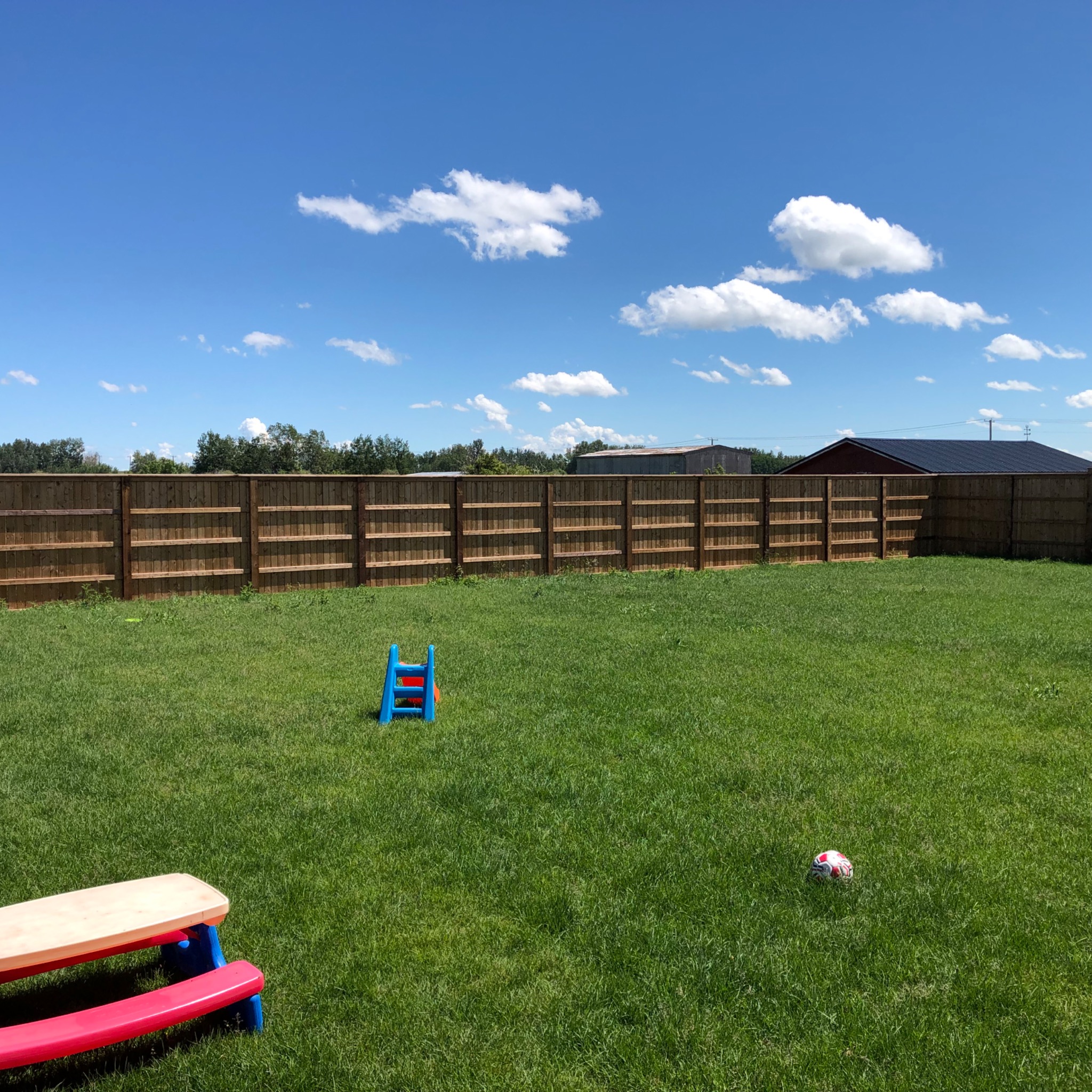 Wide backyard fence view